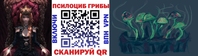 Псилоцибиновые грибы Psilocybine cubensis  Купить закладки  Ачхой-Мартан 